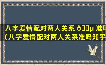 八字爱情配对两人关系 🌵 准吗（八字爱情配对两人关系准吗知乎）